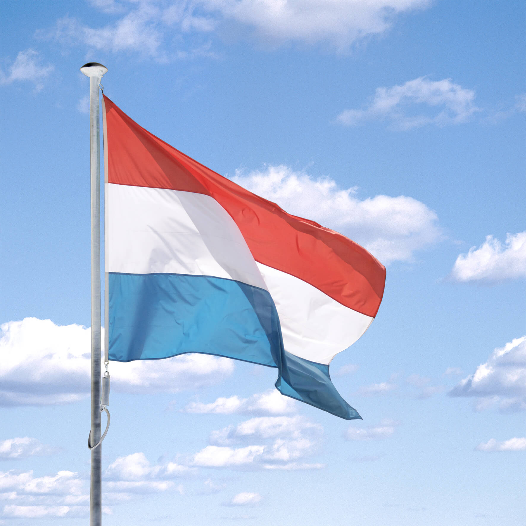 La fête Nationale à l'honneur