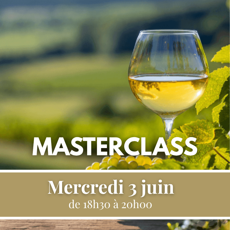 Masterclass avec le Domaine L&R Kox - Du vignoble au consommateur, comprendre la durabilité du vin